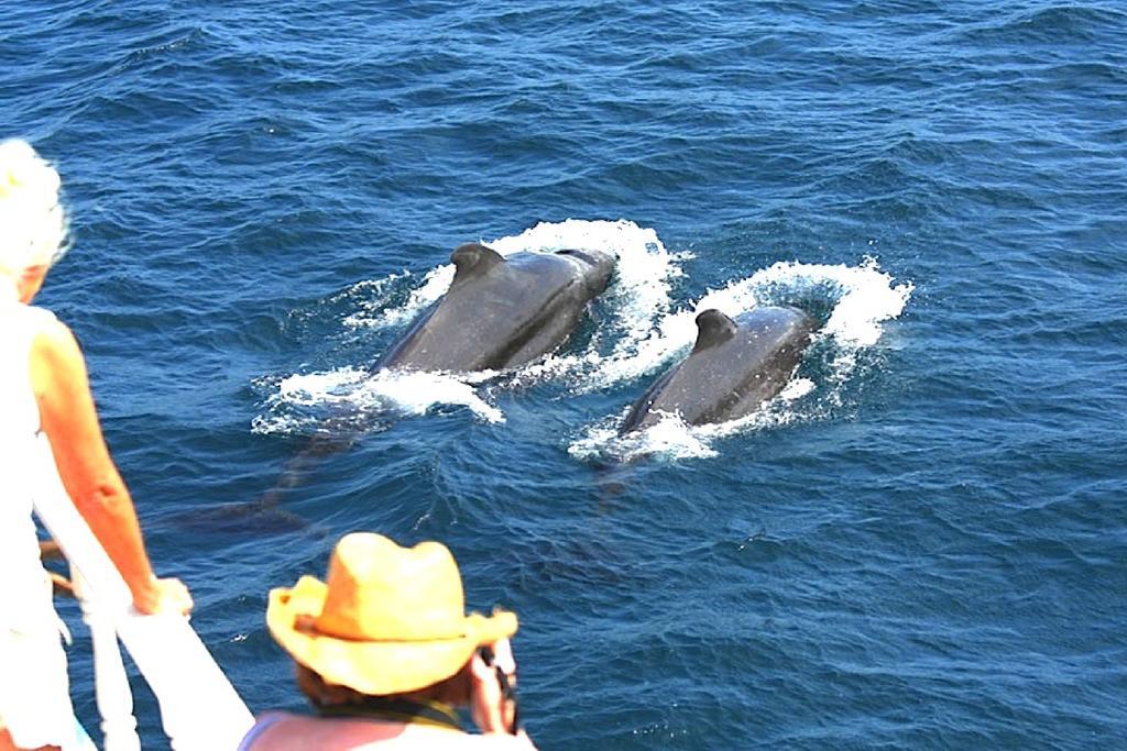 フェリドホー イン Feridhoo エクステリア 写真