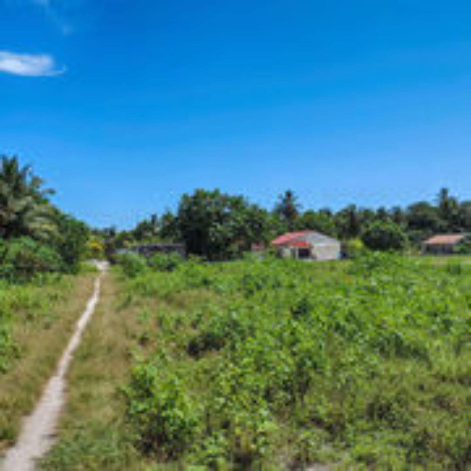 フェリドホー イン Feridhoo エクステリア 写真