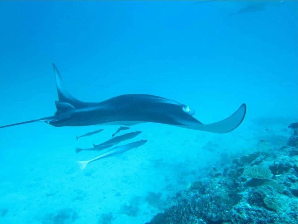 フェリドホー イン Feridhoo エクステリア 写真