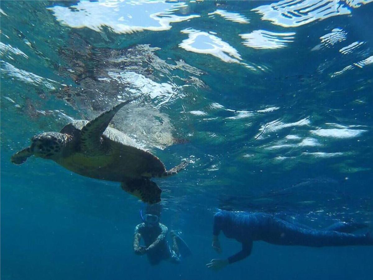 フェリドホー イン Feridhoo エクステリア 写真